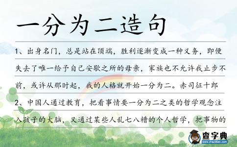 一分為二造句