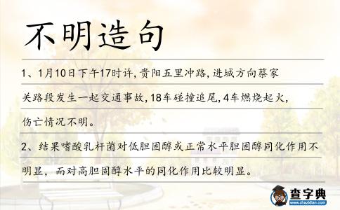 不明造句