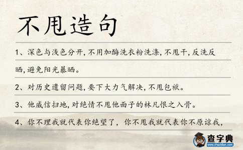不甩造句