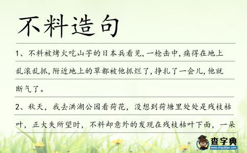 不料造句