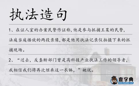 執(zhí)法造句