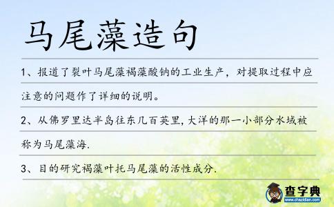馬尾藻造句
