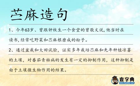 苧麻造句