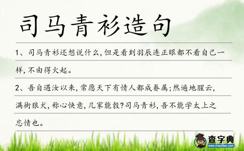司馬青衫造句