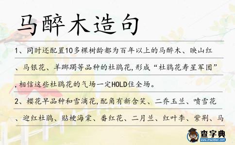 馬醉木造句