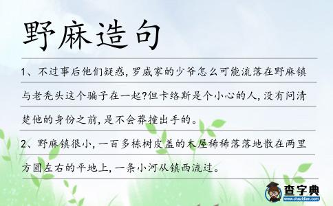 野麻造句