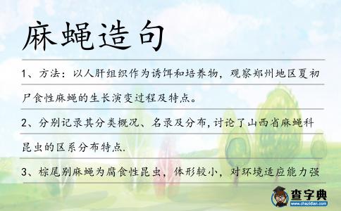 麻蠅造句