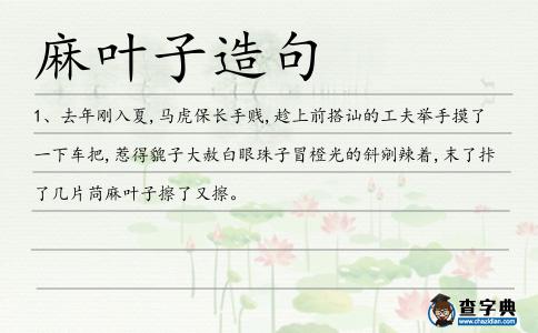 麻葉子造句