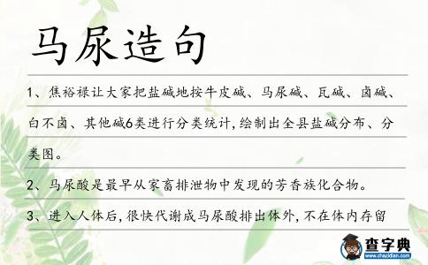 馬尿造句