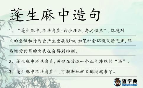 蓬生麻中造句