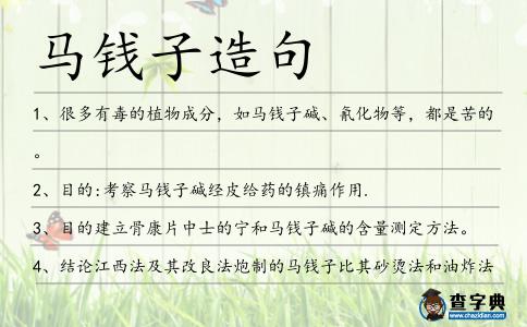馬錢子造句