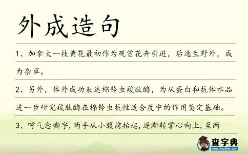 外成造句