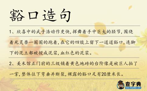 豁口造句