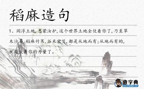 稻麻造句
