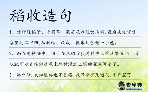 稻收造句
