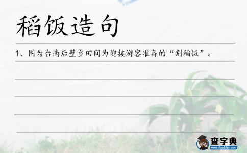 稻飯造句