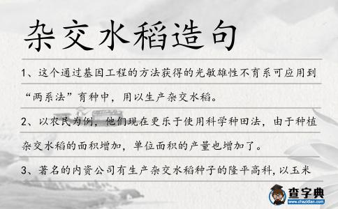 雜交水稻造句