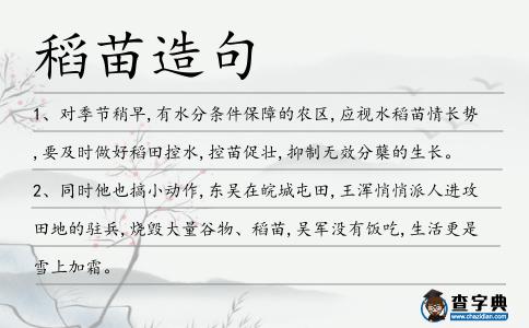 稻苗造句