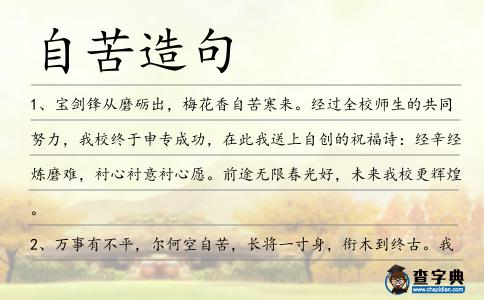 自苦造句