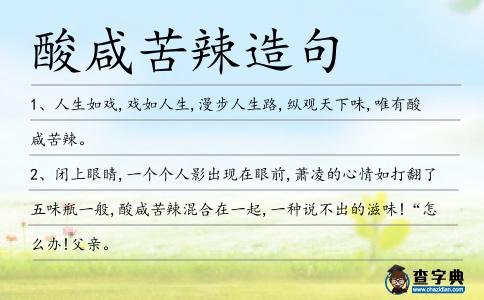 酸咸苦辣造句
