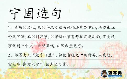 寧固造句