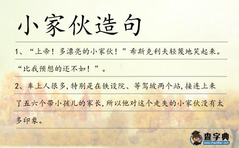 小家伙造句