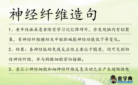 神經纖維造句