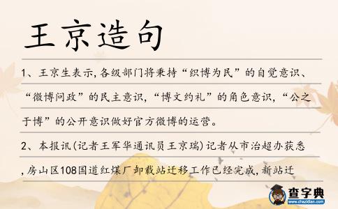 王京造句