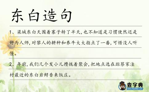 東白造句