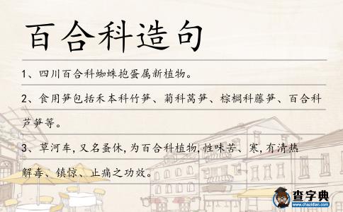 百合科造句