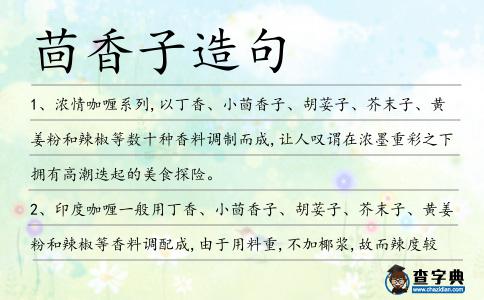 茴香子造句