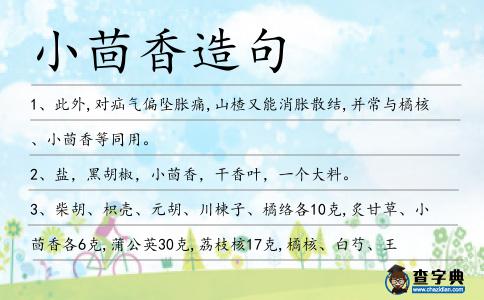 小茴香造句