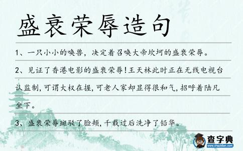 盛衰榮辱造句