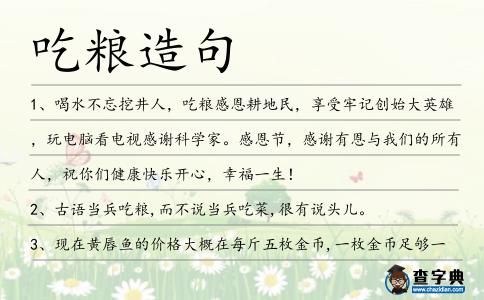 吃糧造句