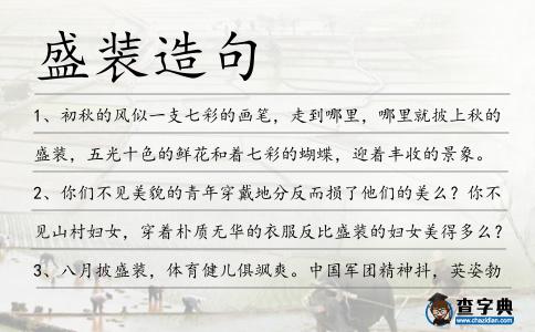 盛裝造句
