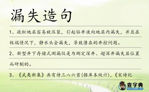 漏失造句