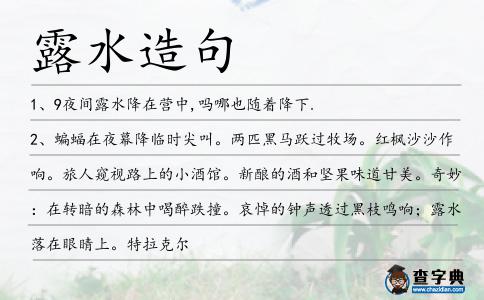 露水造句