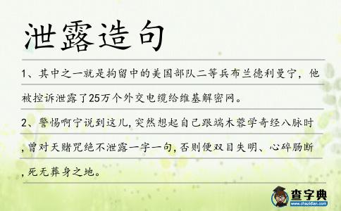 泄露造句