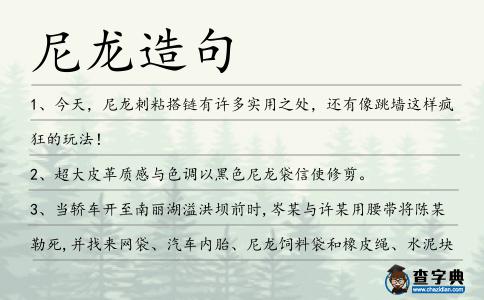 尼龍造句