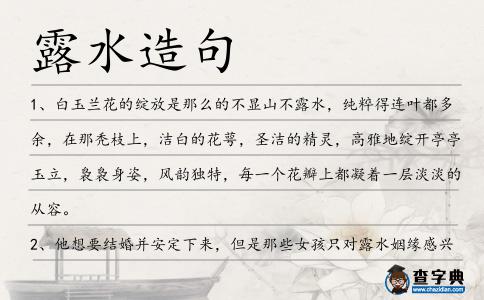 露水造句