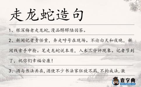 走龍蛇造句
