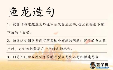 魚龍造句