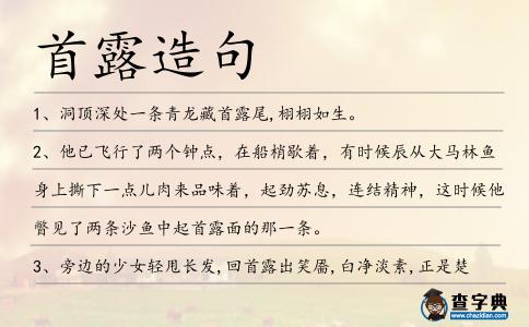 首露造句