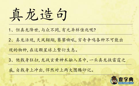 真龍造句