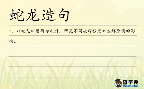 蛇龍造句