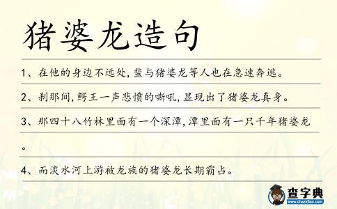 豬婆龍造句