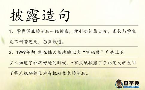 披露造句