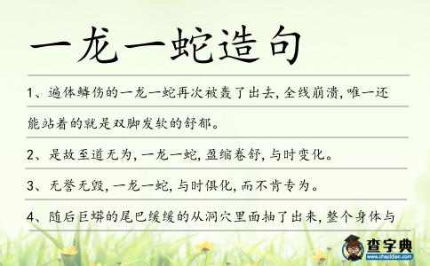 一龍一蛇造句