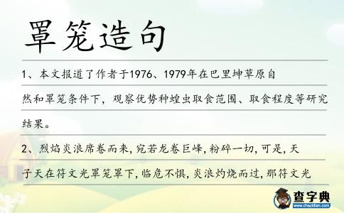 罩籠造句