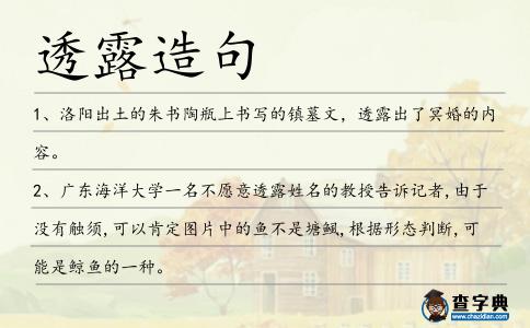 透露造句